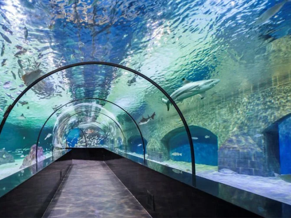 آکواریوم ناتاوگا یا آکوا وگا در آنکارا