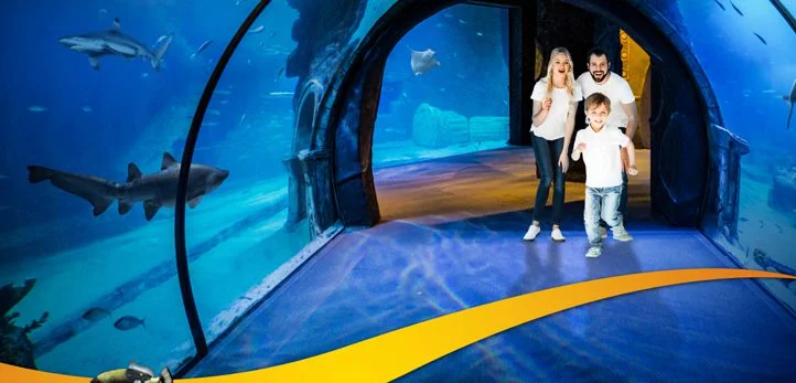 آکواریوم ازمیر Funtastic Aquarium İzmir