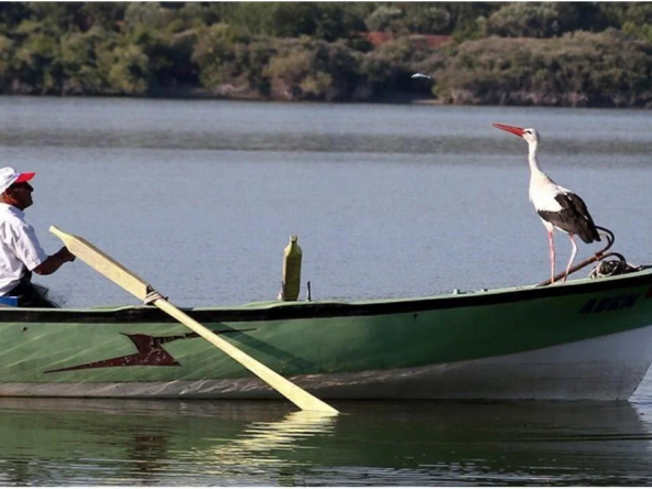 روستای لک لک در شهر بورسای ترکیه