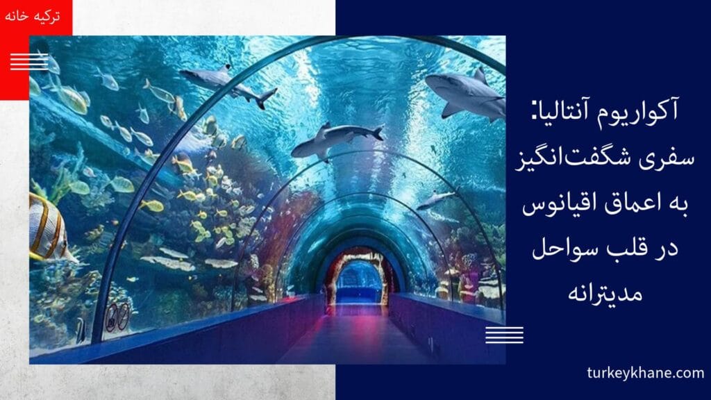 آکواریوم آنتالیا: سفری شگفت‌انگیز به اعماق اقیانوس در قلب سواحل مدیترانه