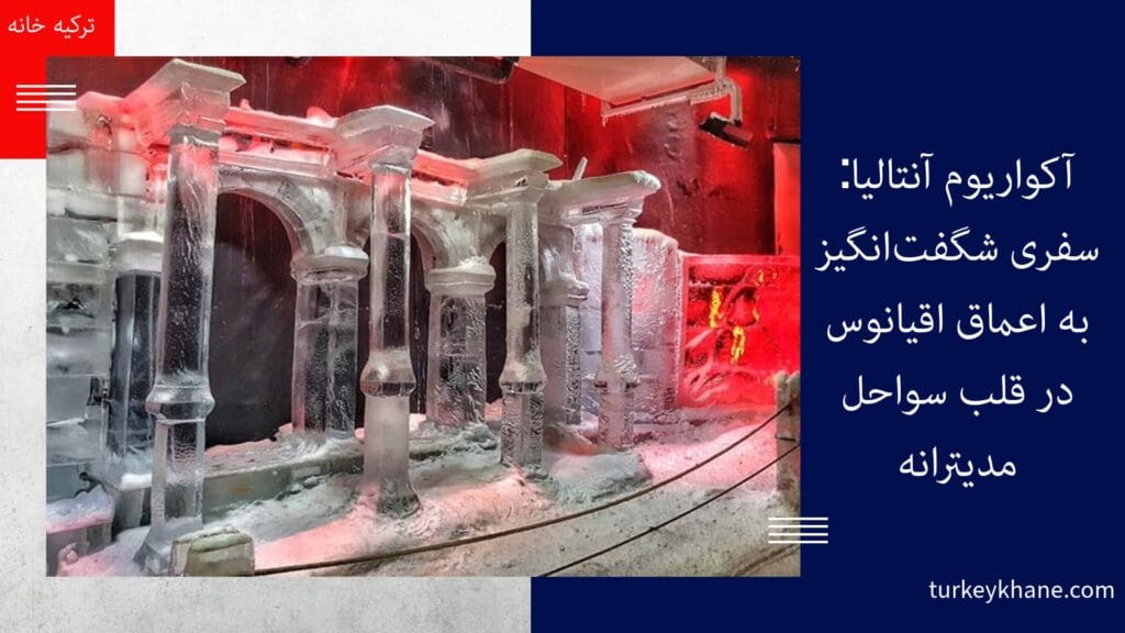 آکواریوم آنتالیا: سفری شگفت‌انگیز به اعماق اقیانوس در قلب سواحل مدیترانه