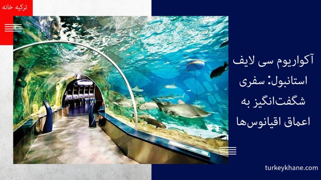 آکواریوم سی لایف استانبول: سفری شگفت‌انگیز به اعماق اقیانوس‌ها