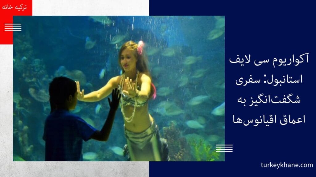 آکواریوم سی لایف استانبول: سفری شگفت‌انگیز به اعماق اقیانوس‌ها