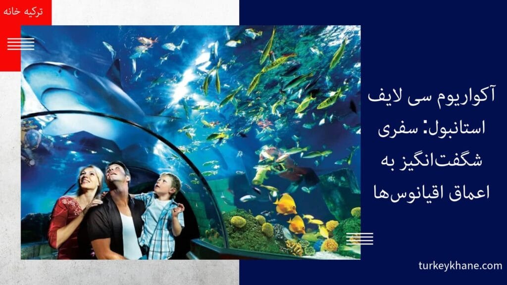 آکواریوم سی لایف استانبول: سفری شگفت‌انگیز به اعماق اقیانوس‌ها