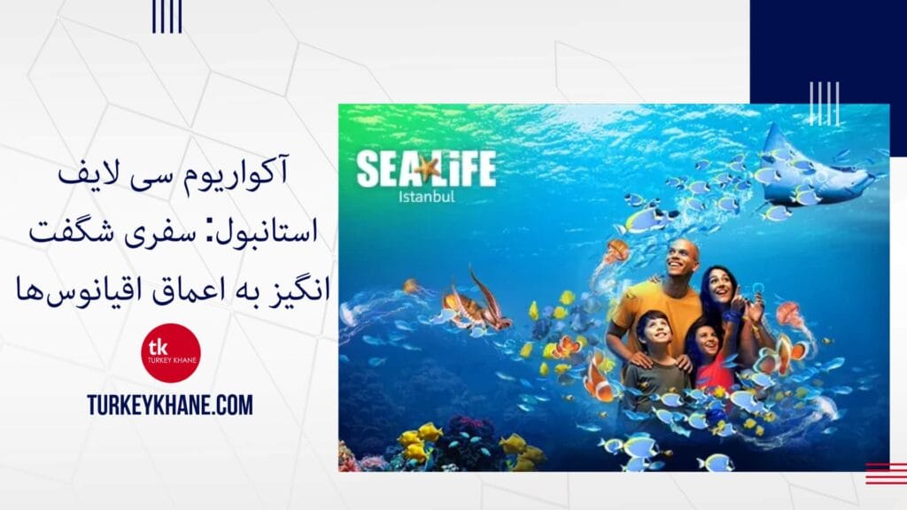 آکواریوم سی لایف استانبول: سفری شگفت‌انگیز به اعماق اقیانوس‌ها