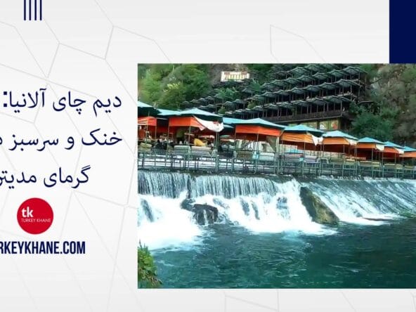 دیم چای آلانیا: بهشتی خنک و سرسبز در قلب گرمای مدیترانه